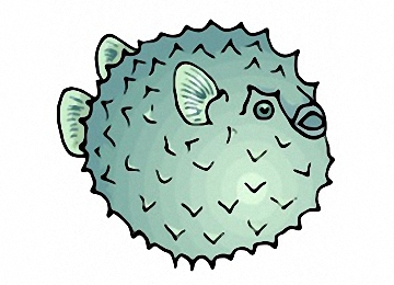 Malvorlagen Kugelfisch